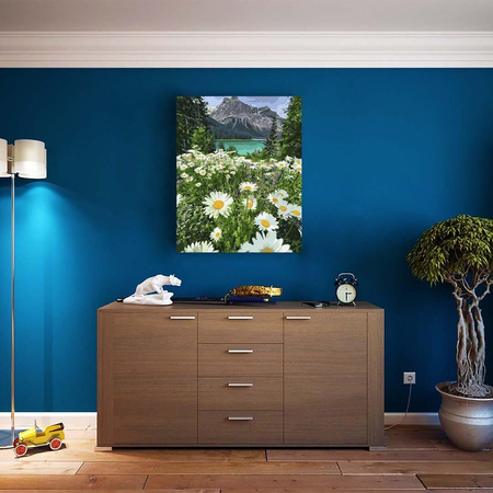 Górski rumiankowy krajobraz Obraz Po Numerach Bez Ramy