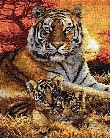 Rodzina tygrysów Obraz Do Malowania Po Numerach