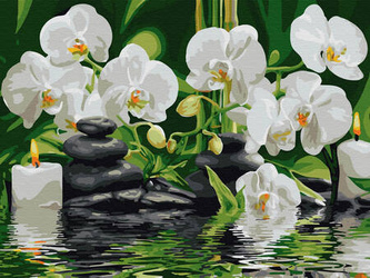 Mozaika Diamentowa 5D Bez Ramy Storczyki w wodzie 30x40 Haft Diamentowy