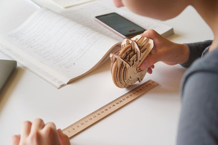 Krzywomierz Model mechaniczny STEM LAB do składania