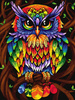 Mozaika Diamentowa 5D Bez Ramy Tęczowa sowa 30x40 Haft Diamentowy