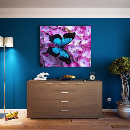 Nieważkość kolorów 40x50 Malowanie Po Numerach