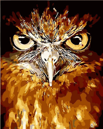 Sowa Obraz Do Malowania Po Numerach