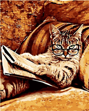 Kot z gazetą Obraz Do Malowania Po Numerach