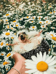 Mozaika Diamentowa 5D Bez Ramy Jeż w stokrotkach 30x40 Haft Diamentowy