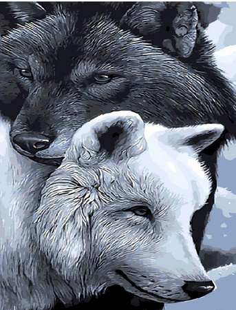 Wilki dobra i ciemności Malowanie po Numerach