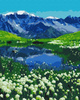 Alpejskie łąki Obraz Do Malowania Po Numerach