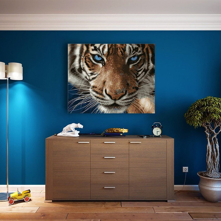 Tygrys Malowanie Po Numerach