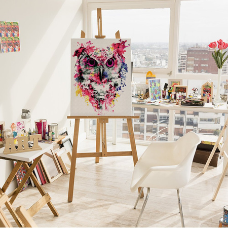 Sowa w farbach Malowanie Po Numerach