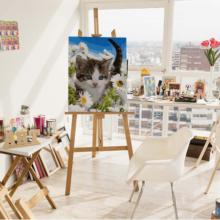 Kotek w polu rumianków Malowanie po numerach