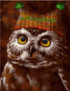 Sowa w czapce Malowanie po numerach