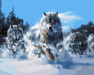 W pogoni Malowanie Po Numerach