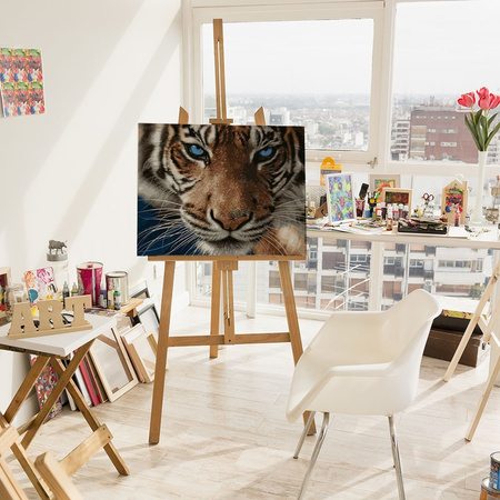 Tygrys Malowanie Po Numerach