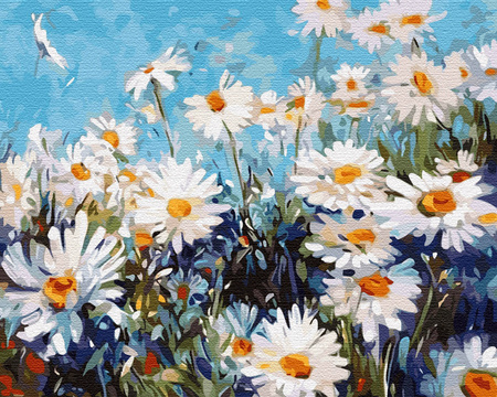 Stokrotki polne Obraz Do Malowania Po Numerach