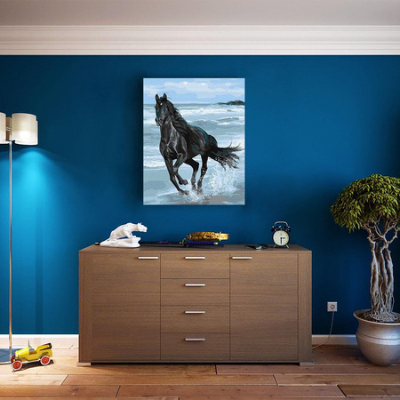 Czarny koń Malowanie po Numerach