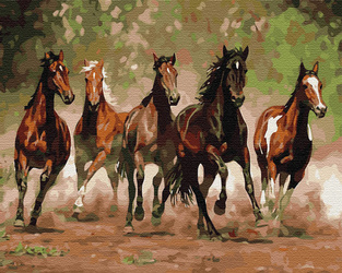 Konny wyścig Malowanie Po Numerach