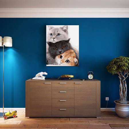 Kotki murkotki Malowanie po Numerach