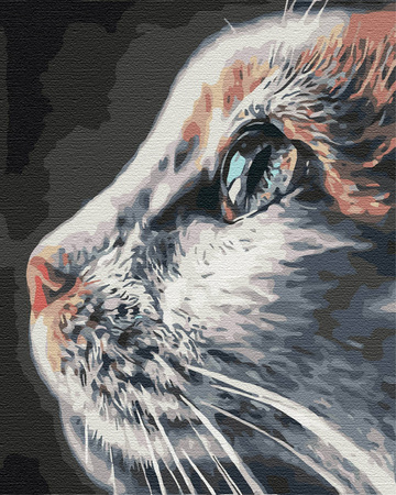 Profil kota Obraz Do Malowania Po Numerach