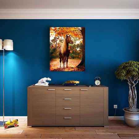 Koń Obraz Do Malowania Po Numerach