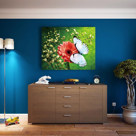 Motyl Obraz Do Malowania Po Numerach