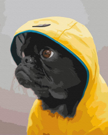 Mops w kapturze Obraz Do Malowania Po Numerach