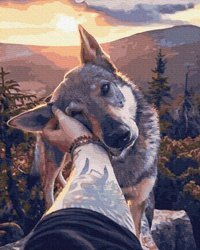 Wierny Przyjaciel Malowanie Po Numerach