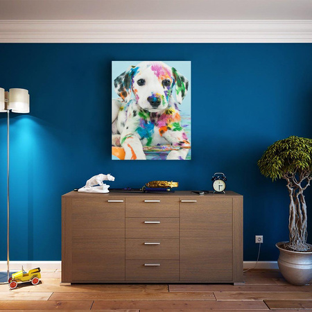 Dalmatyńczyk w farbie Obraz Do Malowania Po Numerach