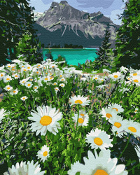 Górski rumiankowy krajobraz Malowanie po numerach