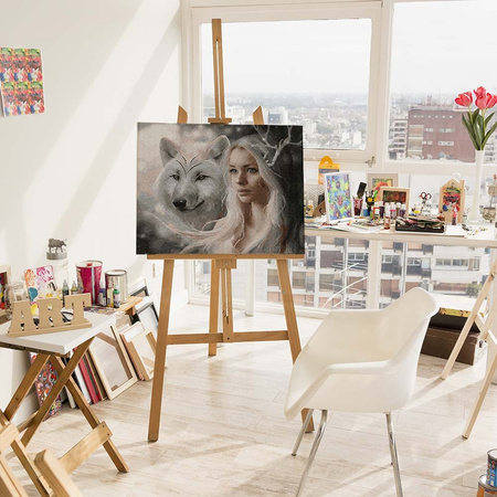 Królowa śniegu Malowanie Po Numerach