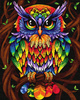 Tęczowa sowa Malowanie Po Numerach