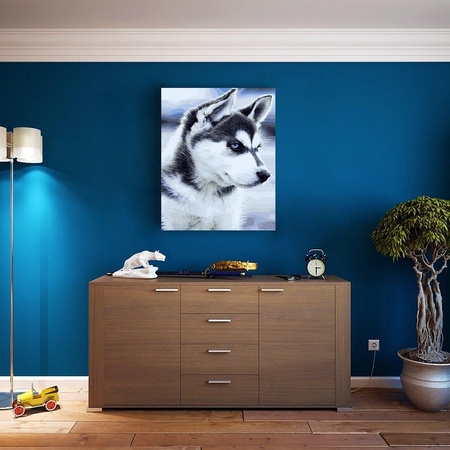 Husky szczeniak Malowanie Po Numerach