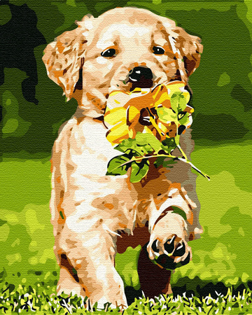 Szczeniak z kwiatkiem Obraz Do Malowania Po Numerach