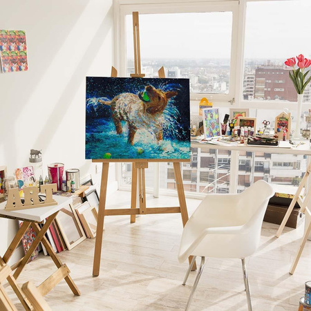 Rozbryzg radości Malowanie po numerach