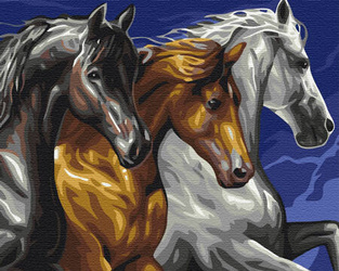 Trio koni Malowanie po Numerach