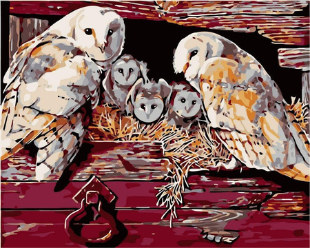 Rodzina sów Obraz Do Malowania Po Numerach