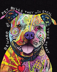 Piesek Pitbull Malowanie Po Numerach