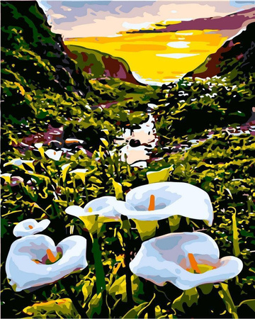 Kalie W Dolinie Do Malowania Po Numerach