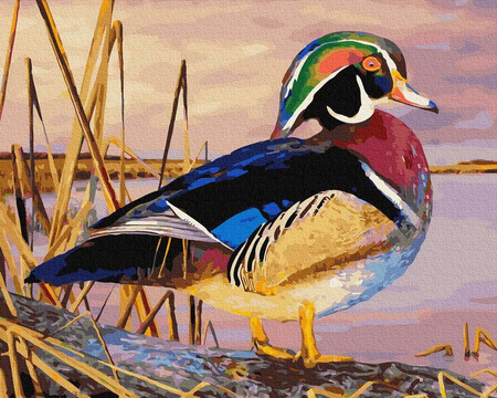 Kaczka Karolinka Malowanie po numerach