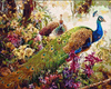 Pawie w Kwiatach Obraz Do Malowania Po Numerach