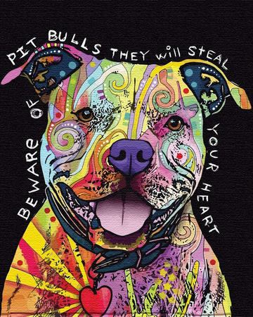 Piesek Pitbull Malowanie Po Numerach