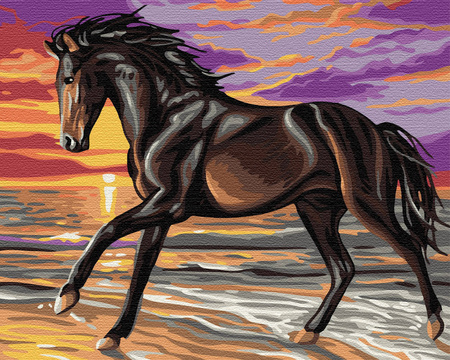 Bucefal w biegu Malowanie po Numerach