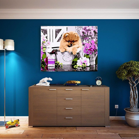 Szpic Obraz Do Malowania Po Numerach