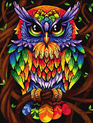 Mozaika Diamentowa 5D Bez Ramy Tęczowa sowa 30x40 Haft Diamentowy