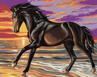 Bucefal w biegu Malowanie po Numerach