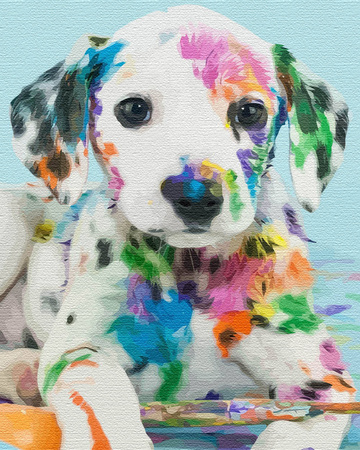 Dalmatyńczyk w farbie Obraz Do Malowania Po Numerach