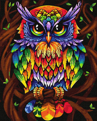 Tęczowa sowa Malowanie Po Numerach