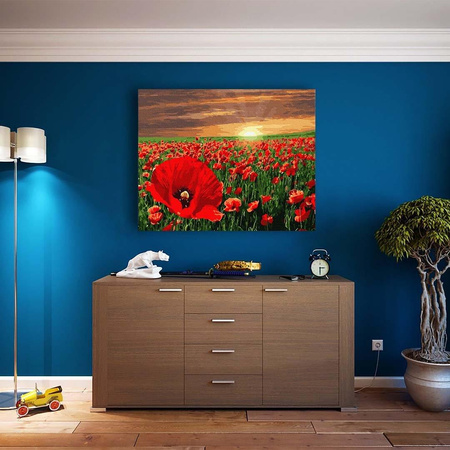 Zachód słońca nad polem maków Malowanie Po Numerach