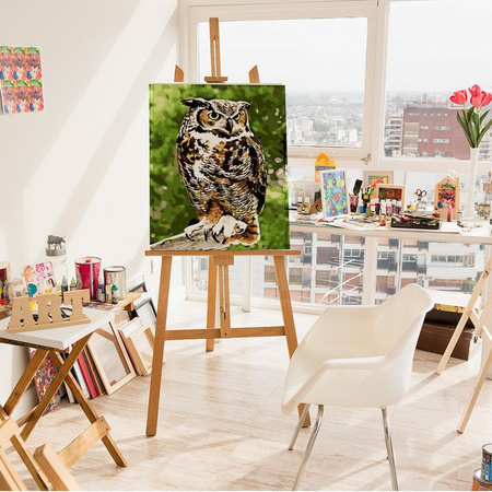 Sowa Obraz Do Malowania Po Numerach