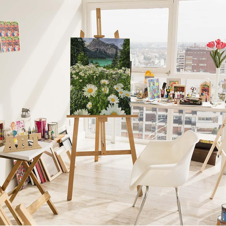 Górski rumiankowy krajobraz Obraz Po Numerach Bez Ramy