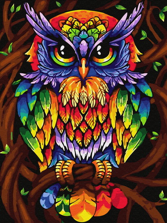 Mozaika Diamentowa 5D Bez Ramy Tęczowa sowa 30x40 Haft Diamentowy